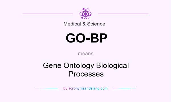 What does GO-BP mean? It stands for Gene Ontology Biological Processes