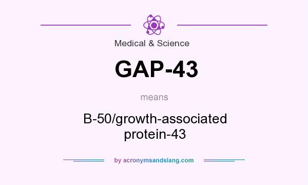 What does GAP-43 mean? It stands for B-50/growth-associated protein-43