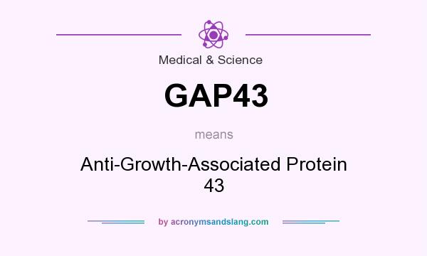 What does GAP43 mean? It stands for Anti-Growth-Associated Protein 43