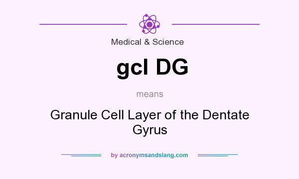 What does gcl DG mean? It stands for Granule Cell Layer of the Dentate Gyrus
