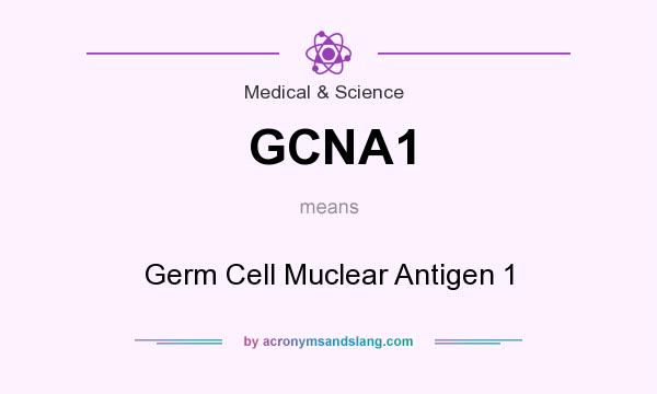 What does GCNA1 mean? It stands for Germ Cell Muclear Antigen 1