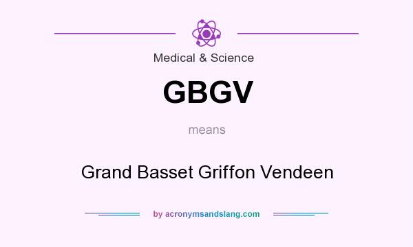 What does GBGV mean? It stands for Grand Basset Griffon Vendeen