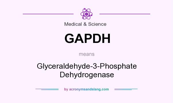 What does GAPDH mean? It stands for Glyceraldehyde-3-Phosphate Dehydrogenase
