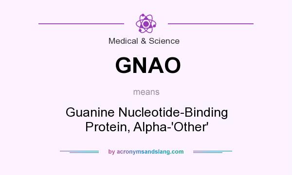 What does GNAO mean? It stands for Guanine Nucleotide-Binding Protein, Alpha-`Other`