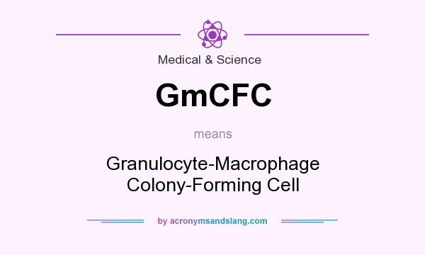 What does GmCFC mean? It stands for Granulocyte-Macrophage Colony-Forming Cell