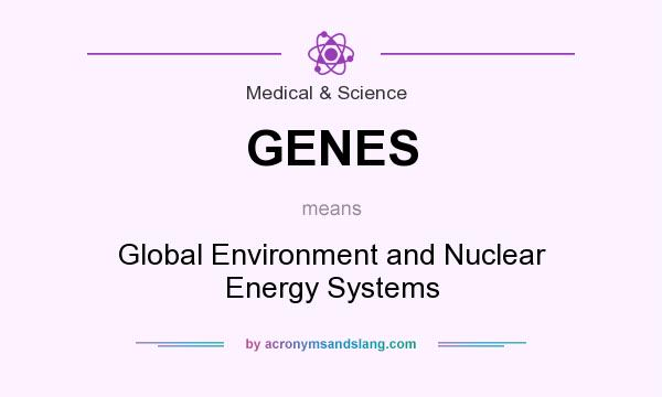 What does GENES mean? It stands for Global Environment and Nuclear Energy Systems