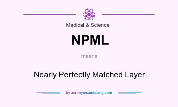What does NPML mean? It stands for Nearly Perfectly Matched Layer