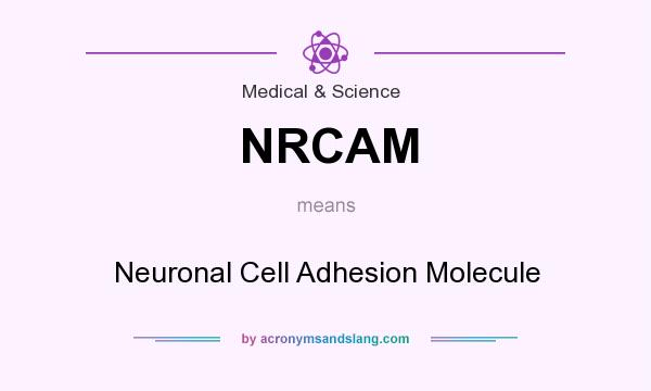 What does NRCAM mean? It stands for Neuronal Cell Adhesion Molecule