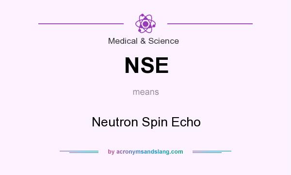 What does NSE mean? It stands for Neutron Spin Echo