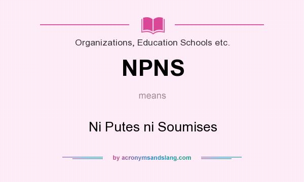What does NPNS mean? It stands for Ni Putes ni Soumises