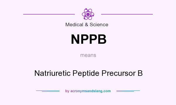 What does NPPB mean? It stands for Natriuretic Peptide Precursor B