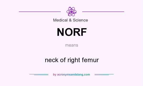 What does NORF mean? It stands for neck of right femur