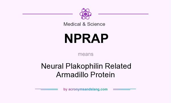 What does NPRAP mean? It stands for Neural Plakophilin Related Armadillo Protein