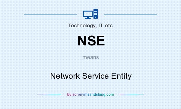 What does NSE mean? It stands for Network Service Entity