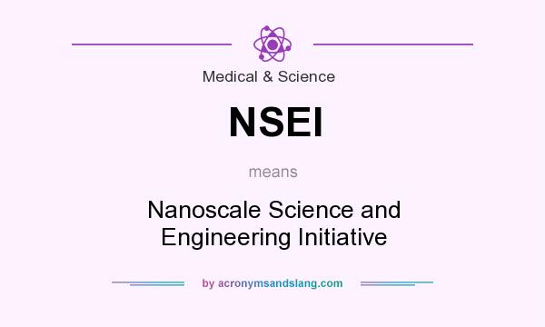 What does NSEI mean? It stands for Nanoscale Science and Engineering Initiative