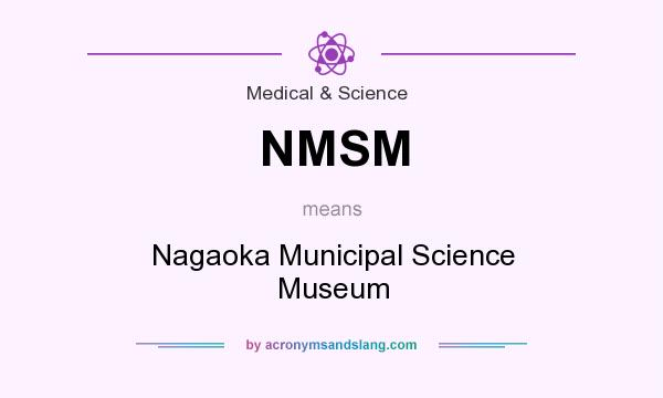 What does NMSM mean? It stands for Nagaoka Municipal Science Museum