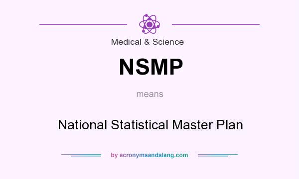 What does NSMP mean? It stands for National Statistical Master Plan
