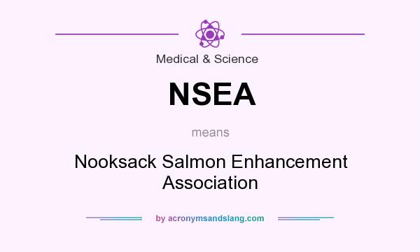 What does NSEA mean? It stands for Nooksack Salmon Enhancement Association
