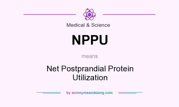 What does NPPU mean? It stands for Net Postprandial Protein Utilization