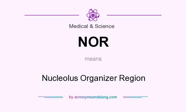 What does NOR mean? It stands for Nucleolus Organizer Region