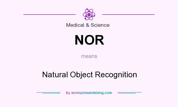 What does NOR mean? It stands for Natural Object Recognition
