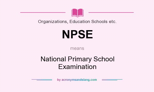 What does NPSE mean? It stands for National Primary School Examination