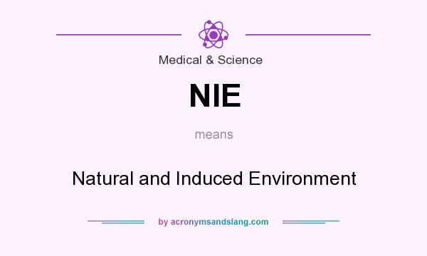What does NIE mean? It stands for Natural and Induced Environment