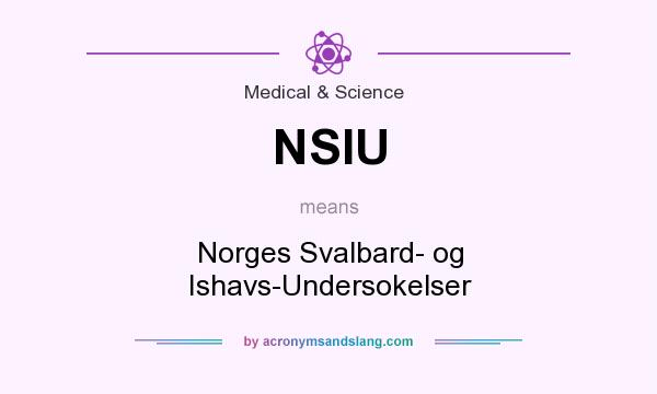 What does NSIU mean? It stands for Norges Svalbard- og Ishavs-Undersokelser
