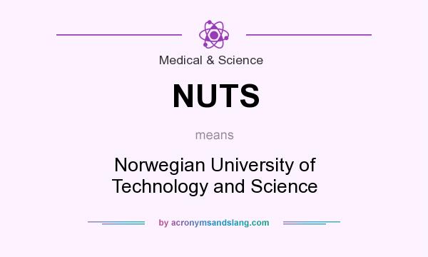 What does NUTS mean? It stands for Norwegian University of Technology and Science