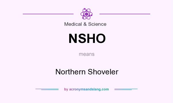 What does NSHO mean? It stands for Northern Shoveler
