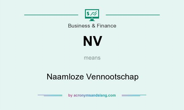 What does NV mean? It stands for Naamloze Vennootschap