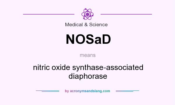 What does NOSaD mean? It stands for nitric oxide synthase-associated diaphorase