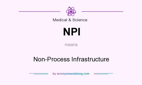 What does NPI mean? It stands for Non-Process Infrastructure