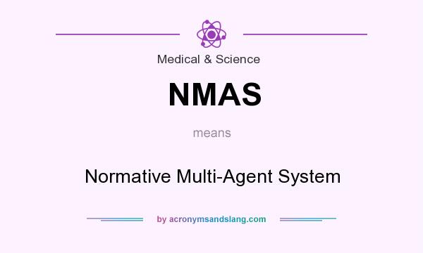 What does NMAS mean? It stands for Normative Multi-Agent System
