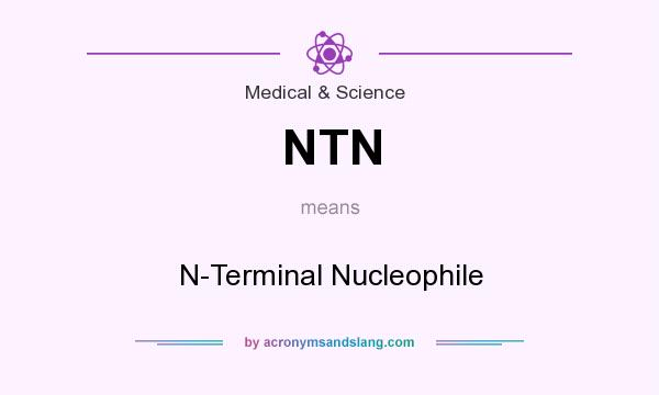What does NTN mean? It stands for N-Terminal Nucleophile