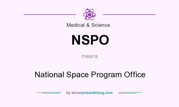What does NSPO mean? It stands for National Space Program Office