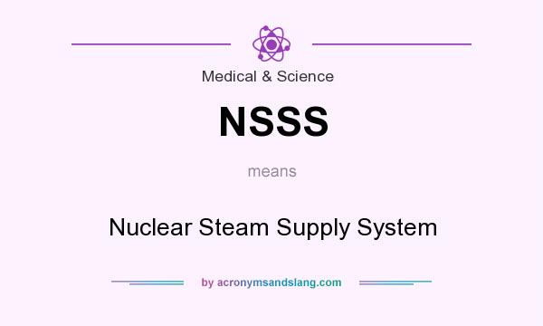 What does NSSS mean? It stands for Nuclear Steam Supply System