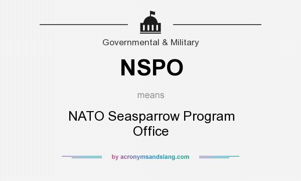 What does NSPO mean? It stands for NATO Seasparrow Program Office