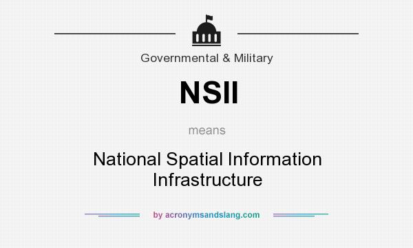 What does NSII mean? It stands for National Spatial Information Infrastructure