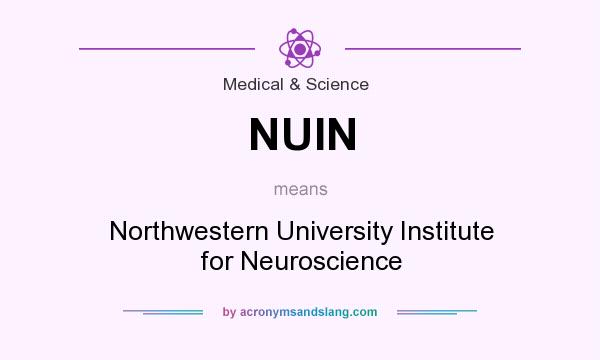 What does NUIN mean? It stands for Northwestern University Institute for Neuroscience