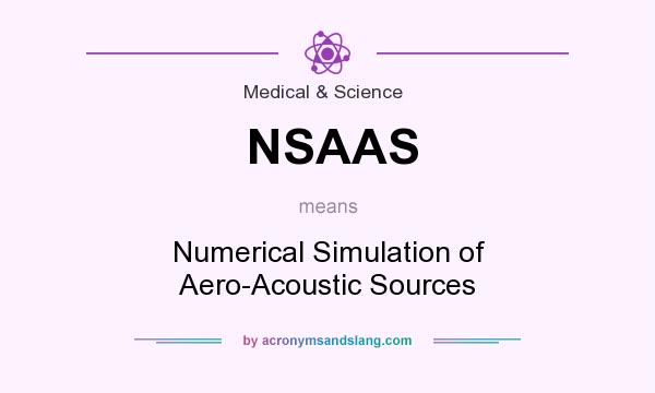What does NSAAS mean? It stands for Numerical Simulation of Aero-Acoustic Sources