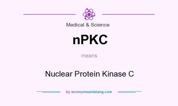What does nPKC mean? It stands for Nuclear Protein Kinase C