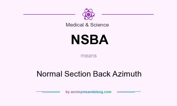What does NSBA mean? It stands for Normal Section Back Azimuth