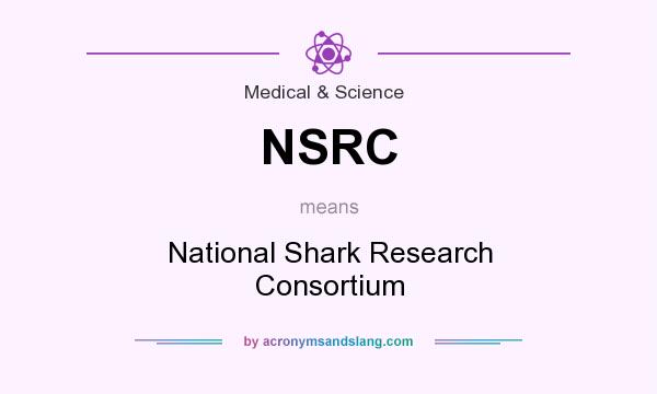 What does NSRC mean? It stands for National Shark Research Consortium