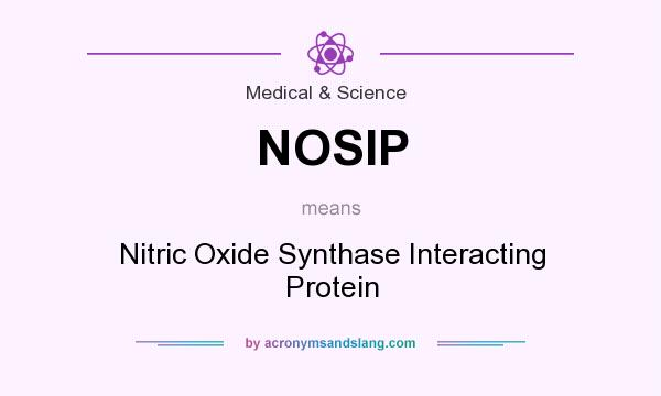 What does NOSIP mean? It stands for Nitric Oxide Synthase Interacting Protein