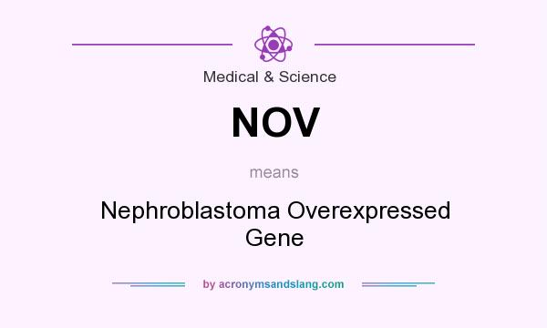 What does NOV mean? It stands for Nephroblastoma Overexpressed Gene