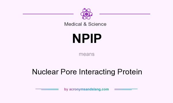 What does NPIP mean? It stands for Nuclear Pore Interacting Protein