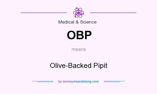 What does OBP mean? It stands for Olive-Backed Pipit