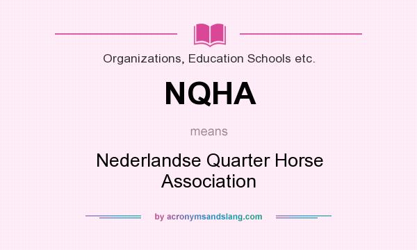 What does NQHA mean? It stands for Nederlandse Quarter Horse Association