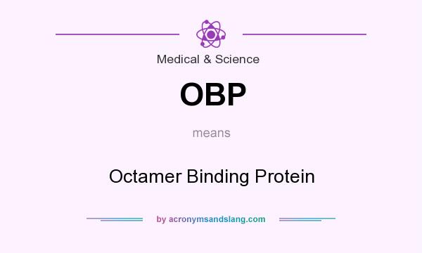 What does OBP mean? It stands for Octamer Binding Protein